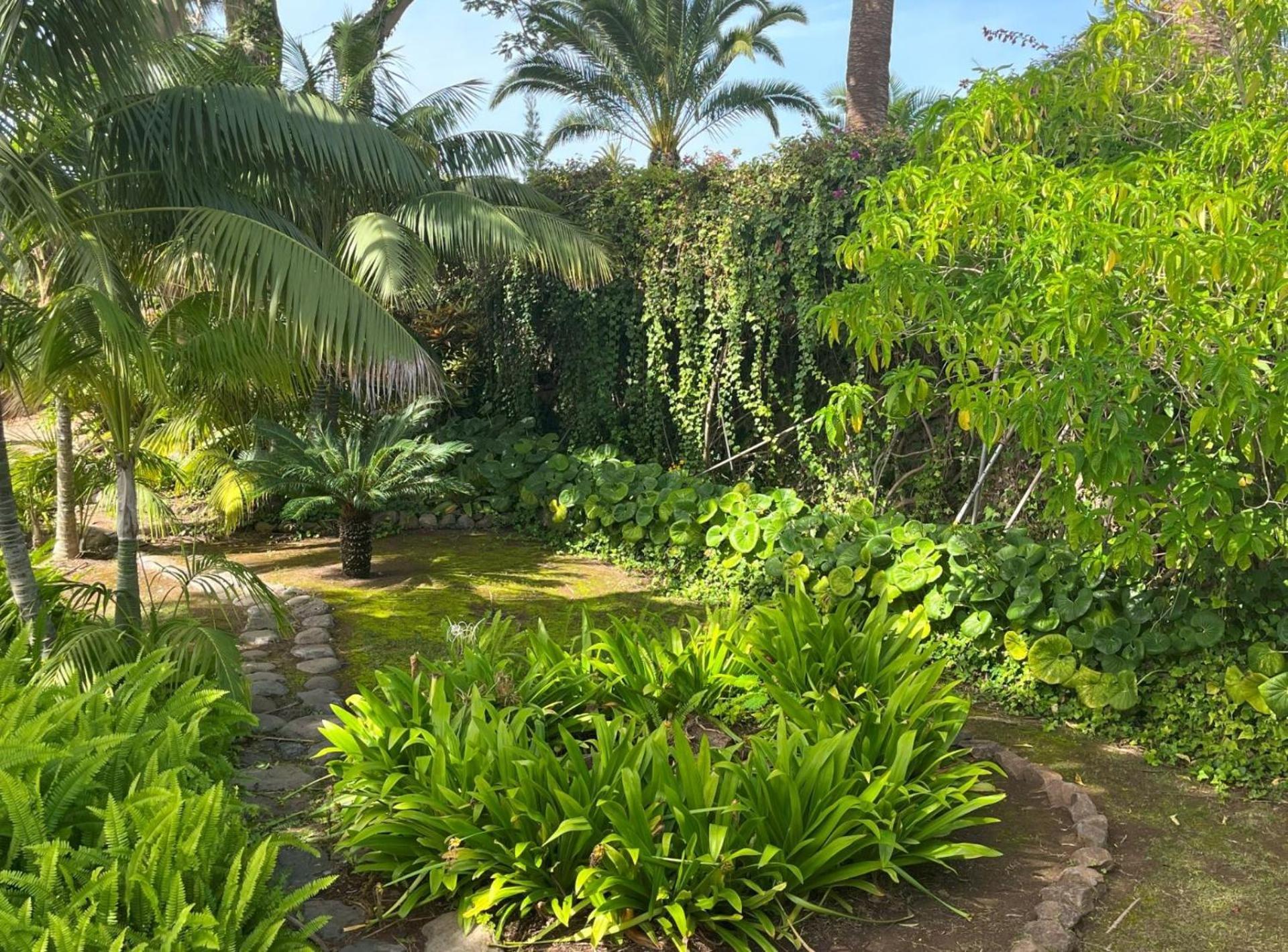 Villas La Gomera Alajeró Exteriér fotografie